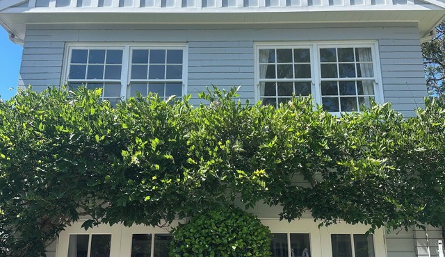 Gorgeous Granny Flat on Sydney’s Leafy North Shore.