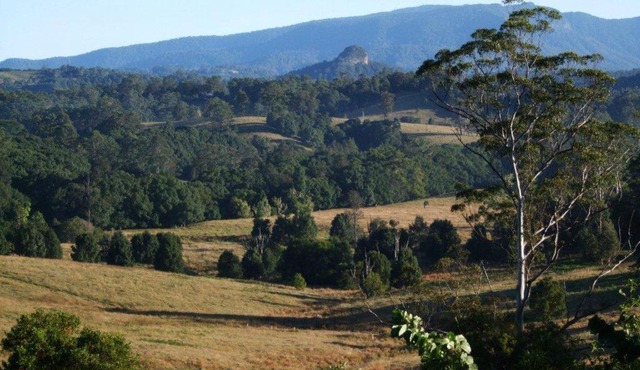 Grey Gum Lodge