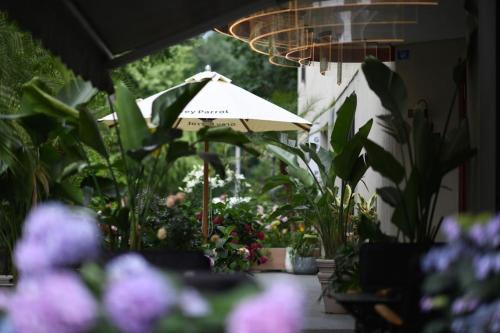 Grey Parrot Resort Hotel