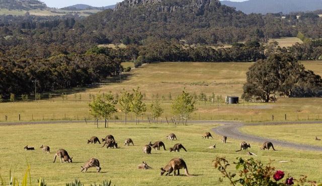 Hanging Rock Views, King Suite in luxury B&B