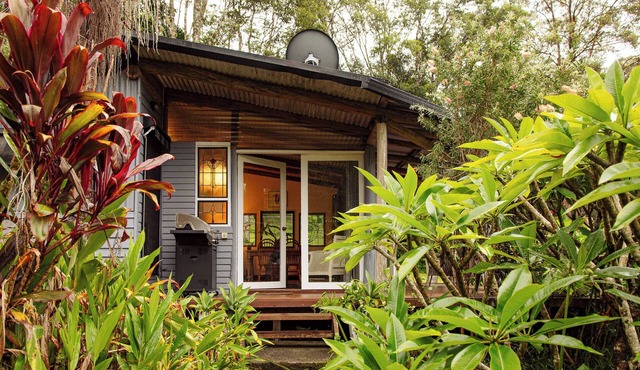 Heritage Cabin | Clawfoot Bath in the Rainforest | Byron Bay Hinterland