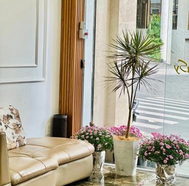 Hotel Pansy