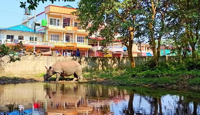 Hotel Rhinoceros-Homestay