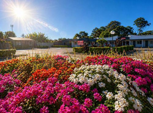 Jolly Knight Motel