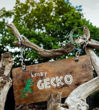 Krazy Gecko Resort