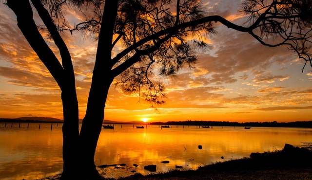 Lakeside Forster Holiday Park