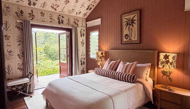Lily Pond Views | Cosy Rainforest Cottage | Byron Bay Hinterland