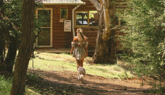 Little Olive Cabin