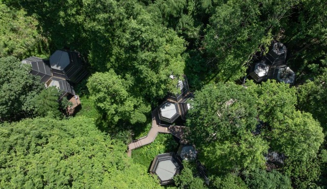 LOSTLODGE·Dongming Mountain(Hangzhou Liangzhu Cultural Village)