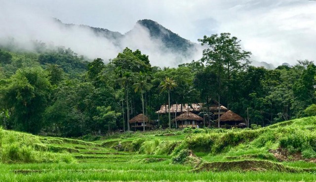 Lua Pu Luong