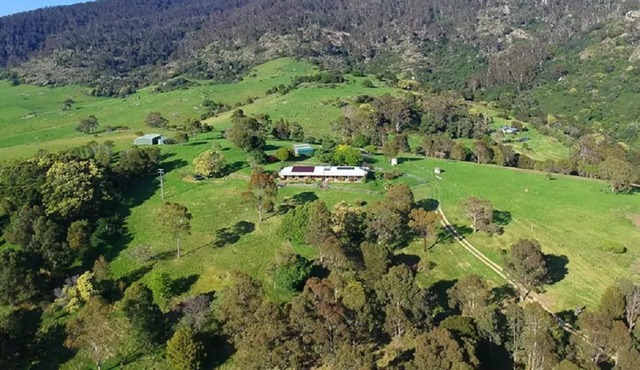 Lush Tilba Acreage with Ocean Views