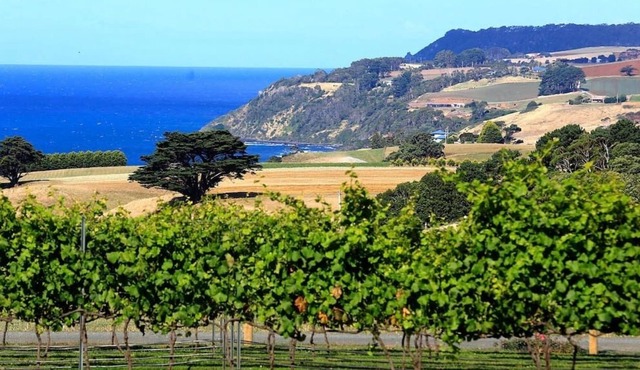Mallavale Farm Boat Harbour - stunning ocean views