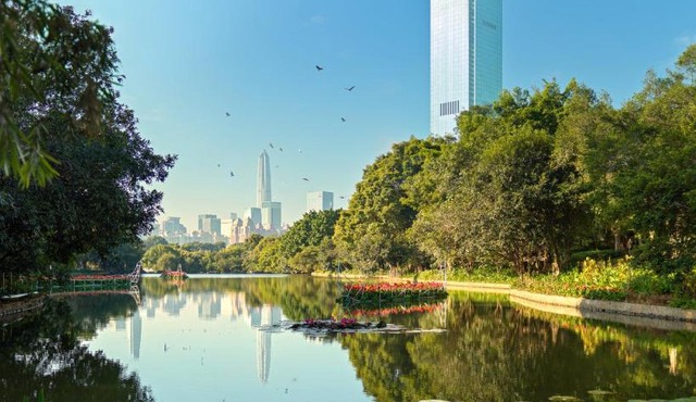 Mandarin Oriental, Shenzhen