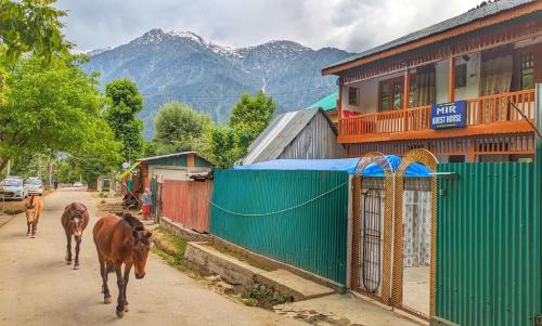 Mir guest house