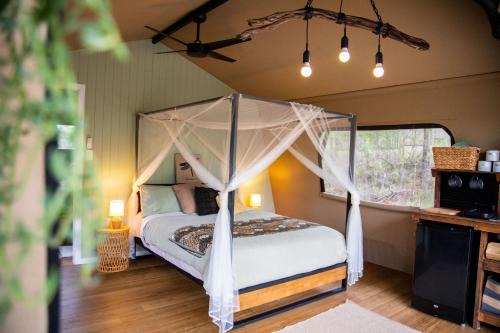 Moogie Glamp