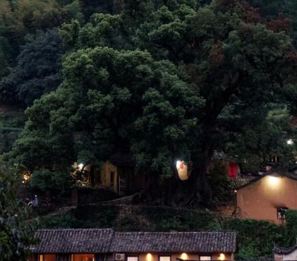 Mountain B&B-Songyang Yangjiatang Branch-