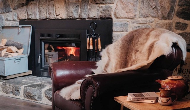 Mountain Sanctuary + Fireplaces + Pets Welcome