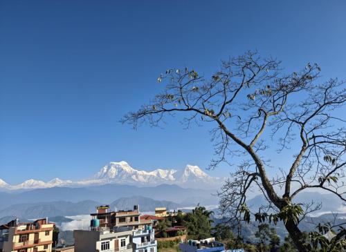 Mountain View Homestay