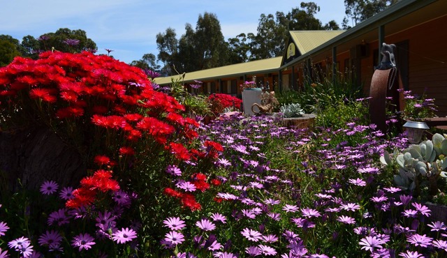 Mountain View Motor Inn & Holiday Lodges