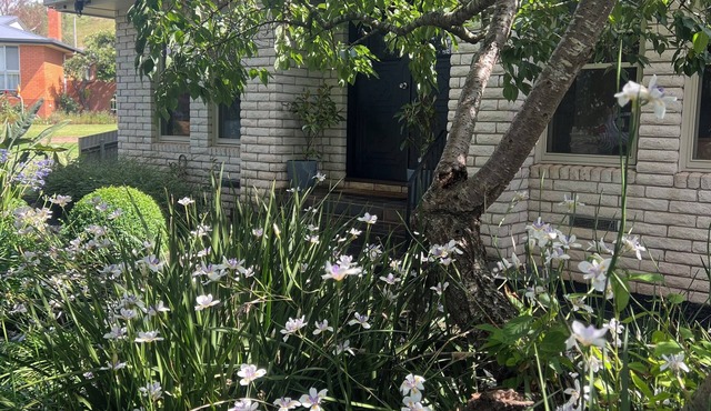 MOUNTVIEW residence is a gorgeous renovated house at the bottom of Mount Leura.