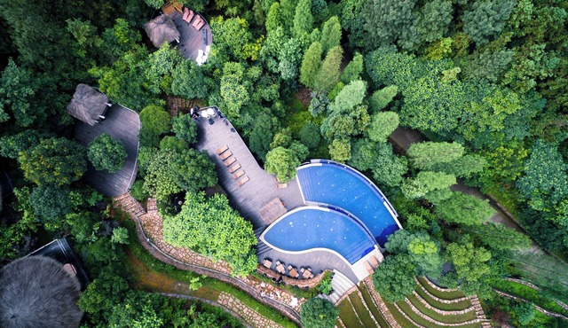 Naked Stables