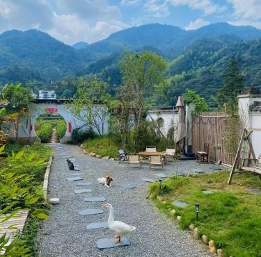 Nature Cure Village Lodge-婺源自在舍
