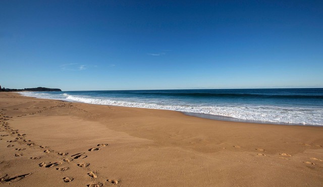 Nightelier Narrabeen