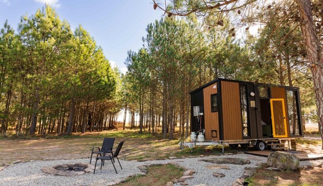 Novena Pines by Tiny Away