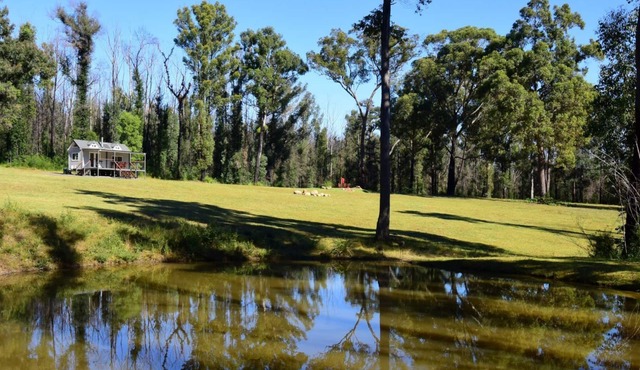 Pindari - Tiny Home Kangaroo Valley