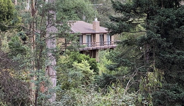 Pinnacle Park -3.5 Acres of beautiful forest