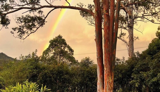 Rainbow Farm Studio - Sleep to the sounds of the Orara River 15 mins from Coffs.