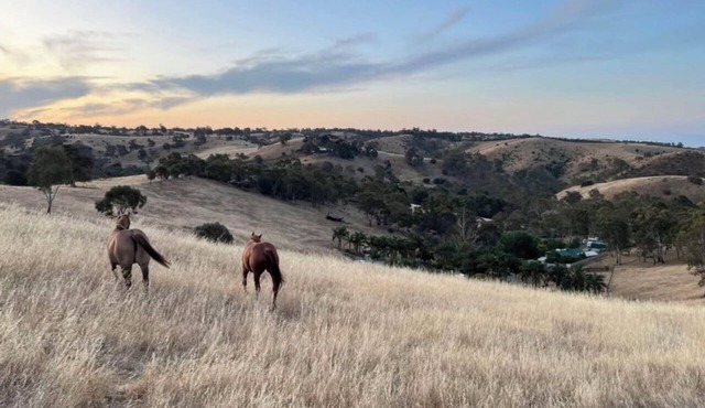 Recently renovated studio on 10 acres near the Barossa. Continental breakfast.