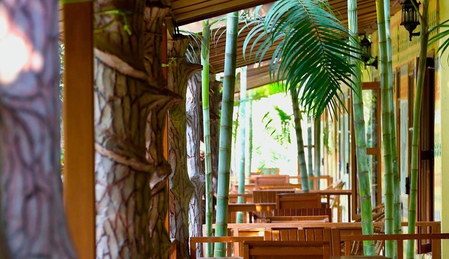 Rhino Land Jungle Lodge