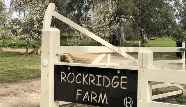 Rockridge, apartment pet friendly semi rural farm stay Set amongst tall gums