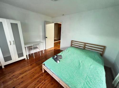 Room 81