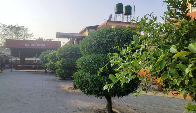 Rose guest house