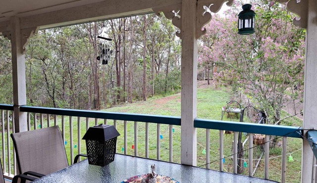 Rustic Sunflower : A large Queensland style homestay. Family&Pets friendly.