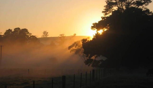 SELF-CONTAINED STUDIO; PRIVATE "FERNDALE" B&B Farm Stay 5mins to BUNDANOON