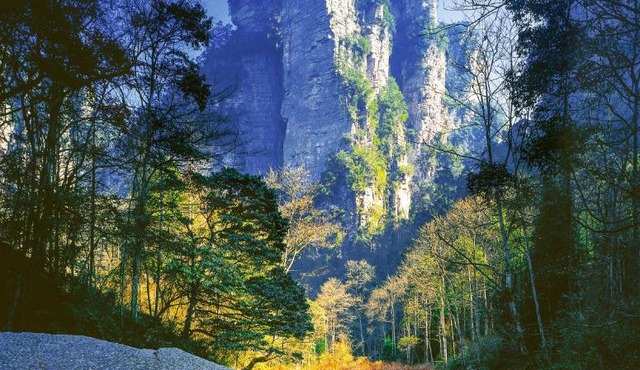 SHI MAN Hotel-Best Location for Tianmen Mount,Free pick up service, Free welcome tea,Free Breakfast ,Itineary Plan& Purchase Tickets, Free luggage storage,Smart Hotel