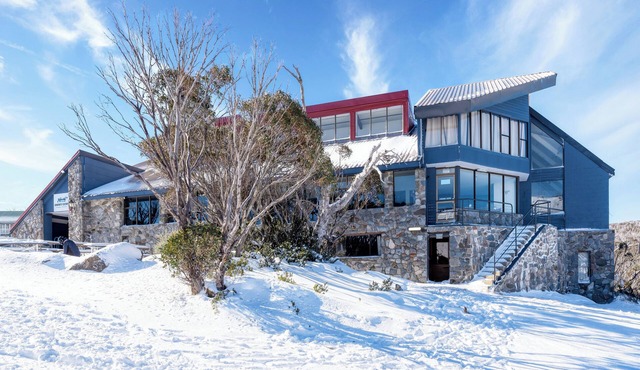 Snowy Gums