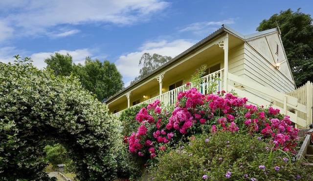 Spacious 3BR Family Haven in Upper Ferntree Gully