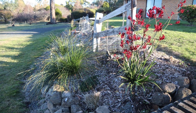 Summit Accommodation in rural peace10 mins from Launceston