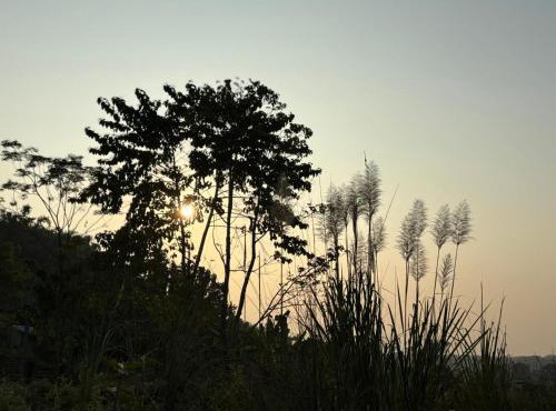 Teplong The Paix, Kaziranga National Park