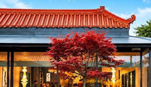 Terra Art Zen Hotel with Rooftop Zen Garden, Veggie Dining,Pick-up service,English speaking,Free Laundry