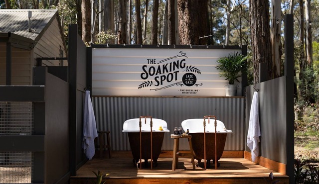 The Duckling quintessential bush retreat set amongst towering gums. One bedroom - dog friendly