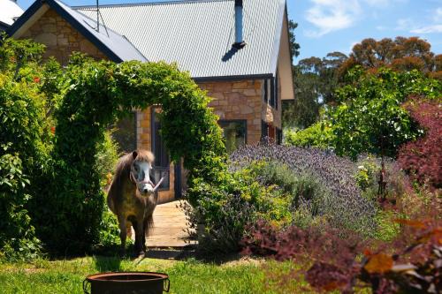 The Pony Lodge