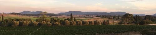 Tranquil Vale Vineyard