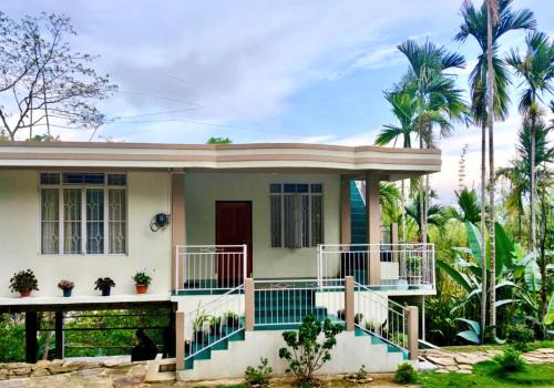 Travellers Homestay Mawlynnong I Peaceful Nature Stay
