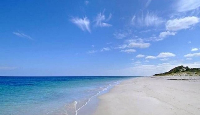 ****Tuart Retreat****