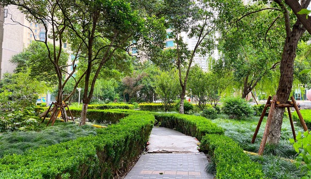 Tyms Xujiahui Stylish 1BR APT